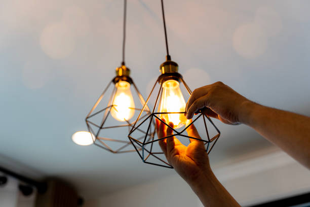 Best Residential Electrician Services  in Pepeekeo, HI